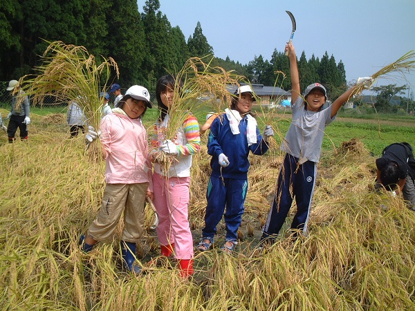 ヤッターお米の収穫